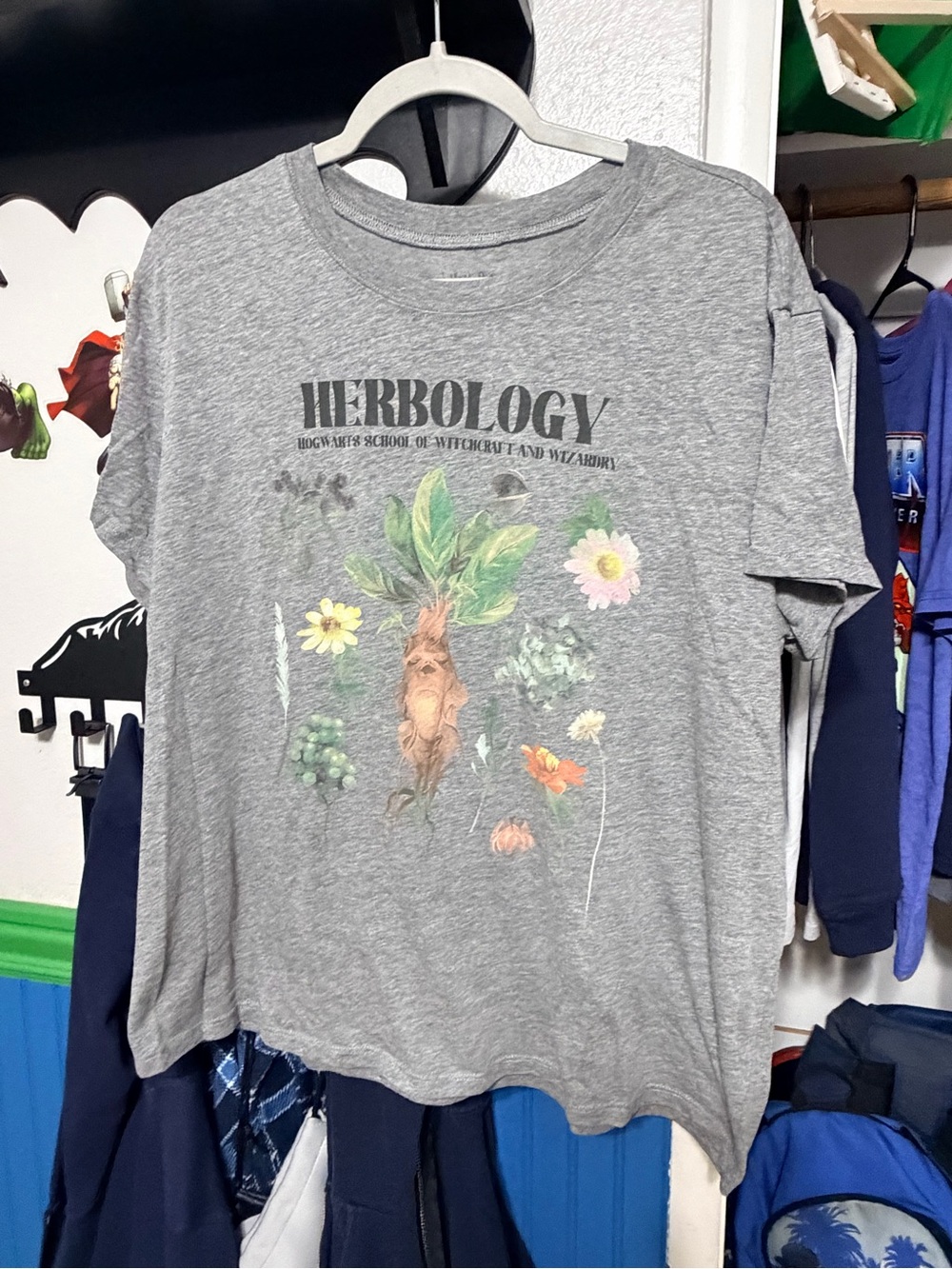 Harry Potter. Warner Bros. Gray Herbology Graphic Tee